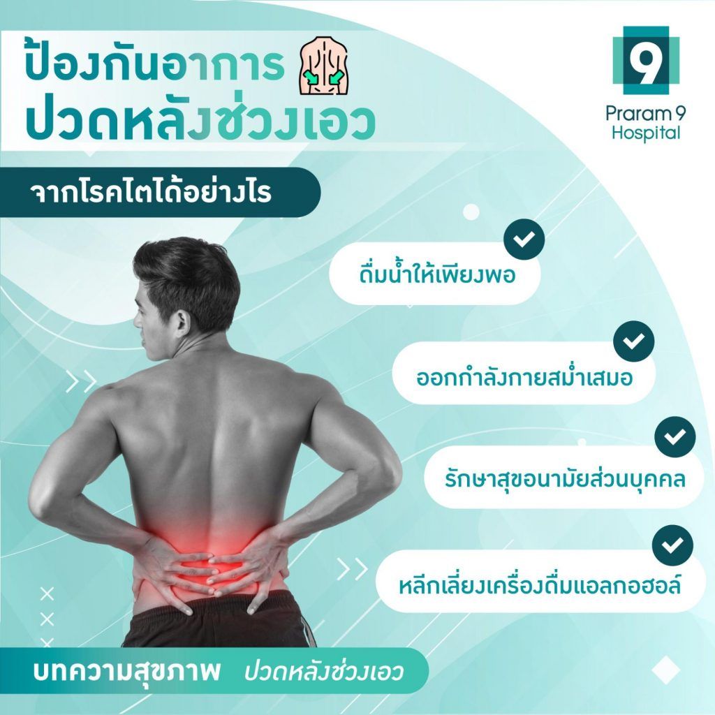 ป้องกันอาการปวดหลังช่วงเอวจากโรคไตได้อย่างไร-1024x1024.jpg