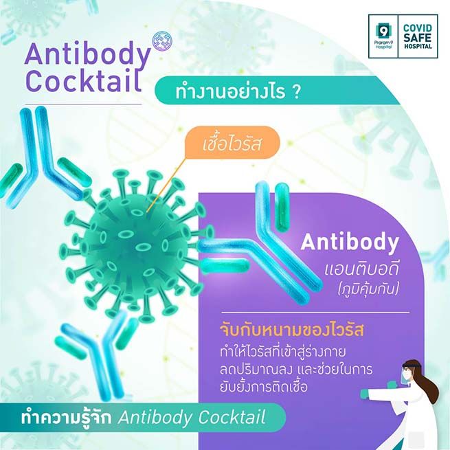 AntibodyCocktail-Howwork.jpg