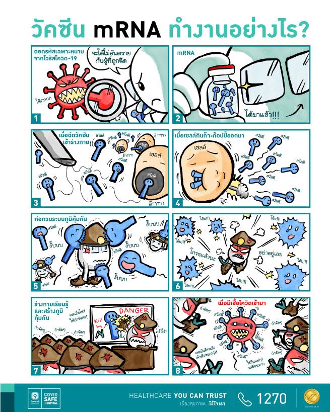 PR9-Moderna-mRNA-work-2-หลักการของวัคซีน-mRNA.jpg