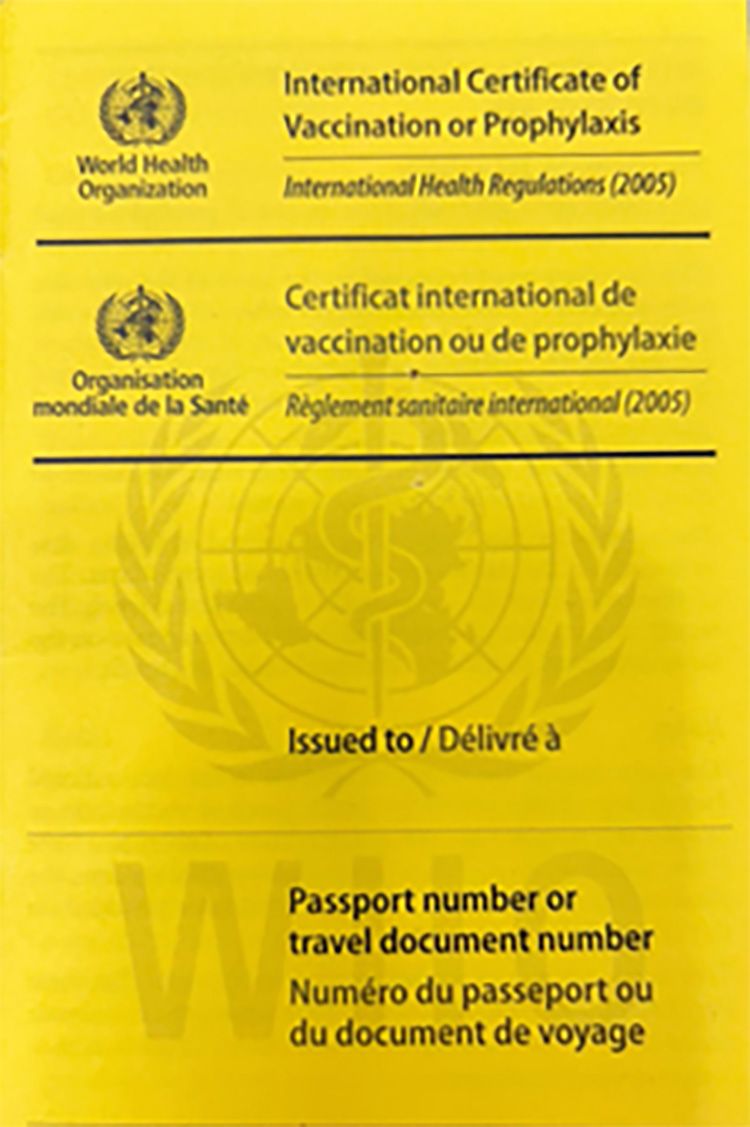 Yellow-fever-3.jpg