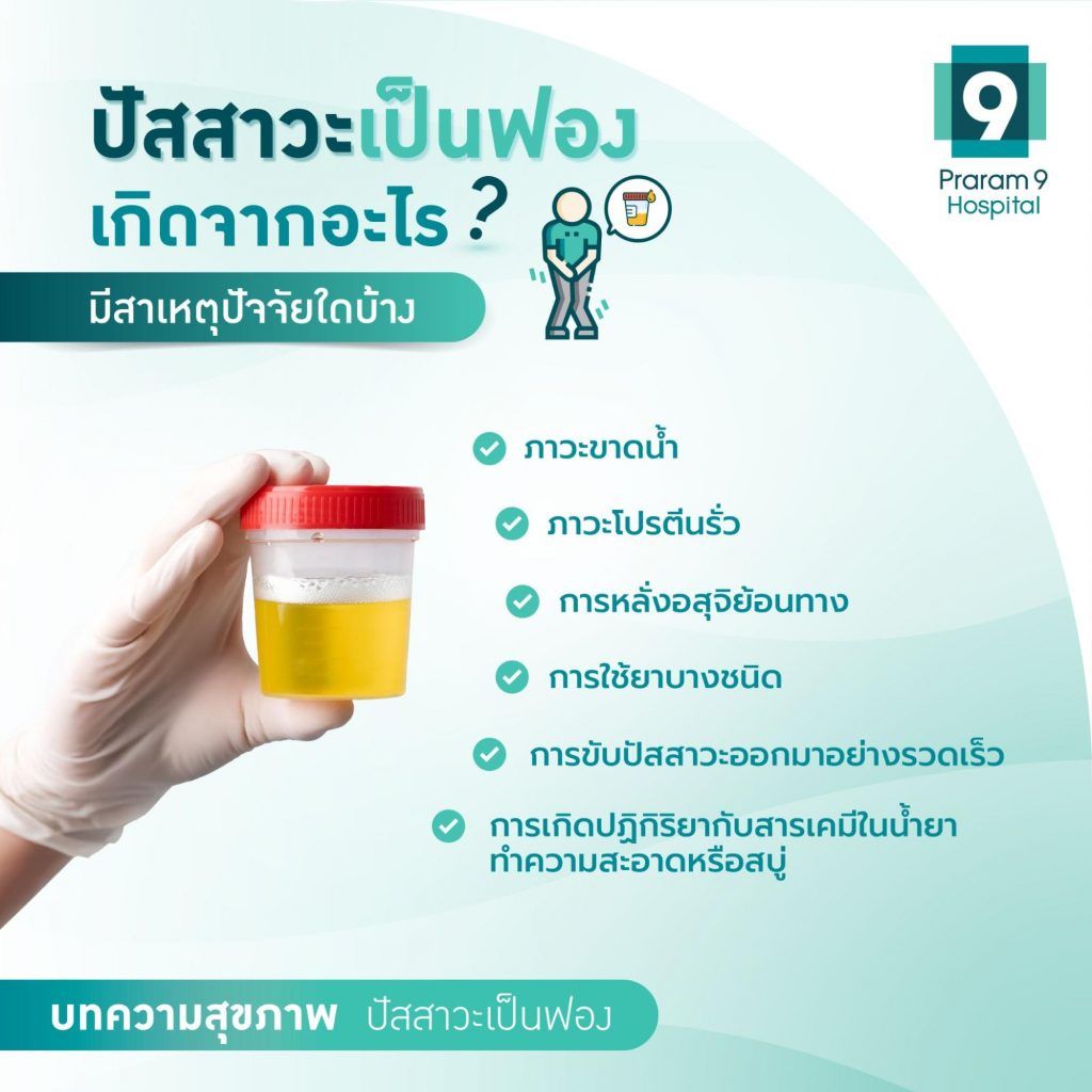 causes-of-foamy-urine-1024x1024.jpg