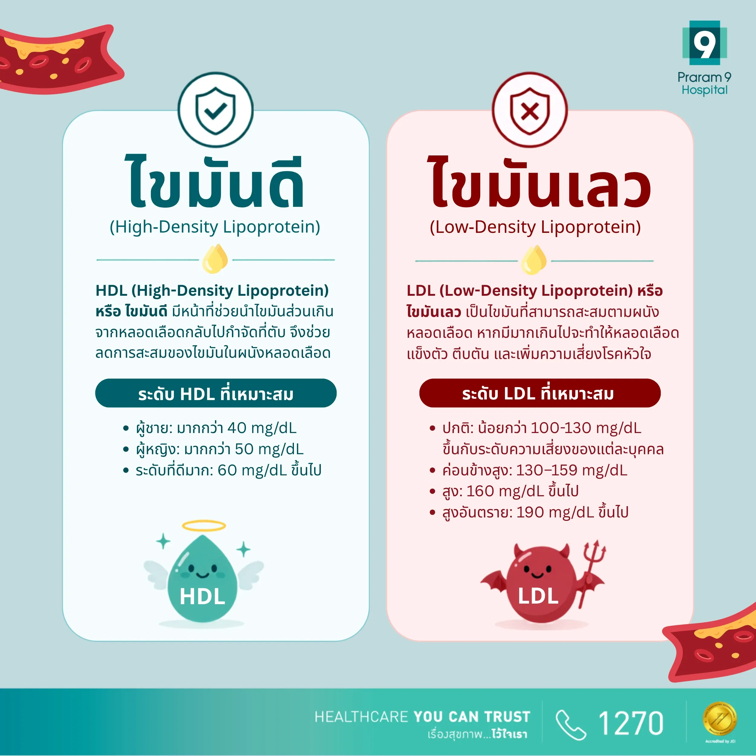 hdl-ldl-information.webp