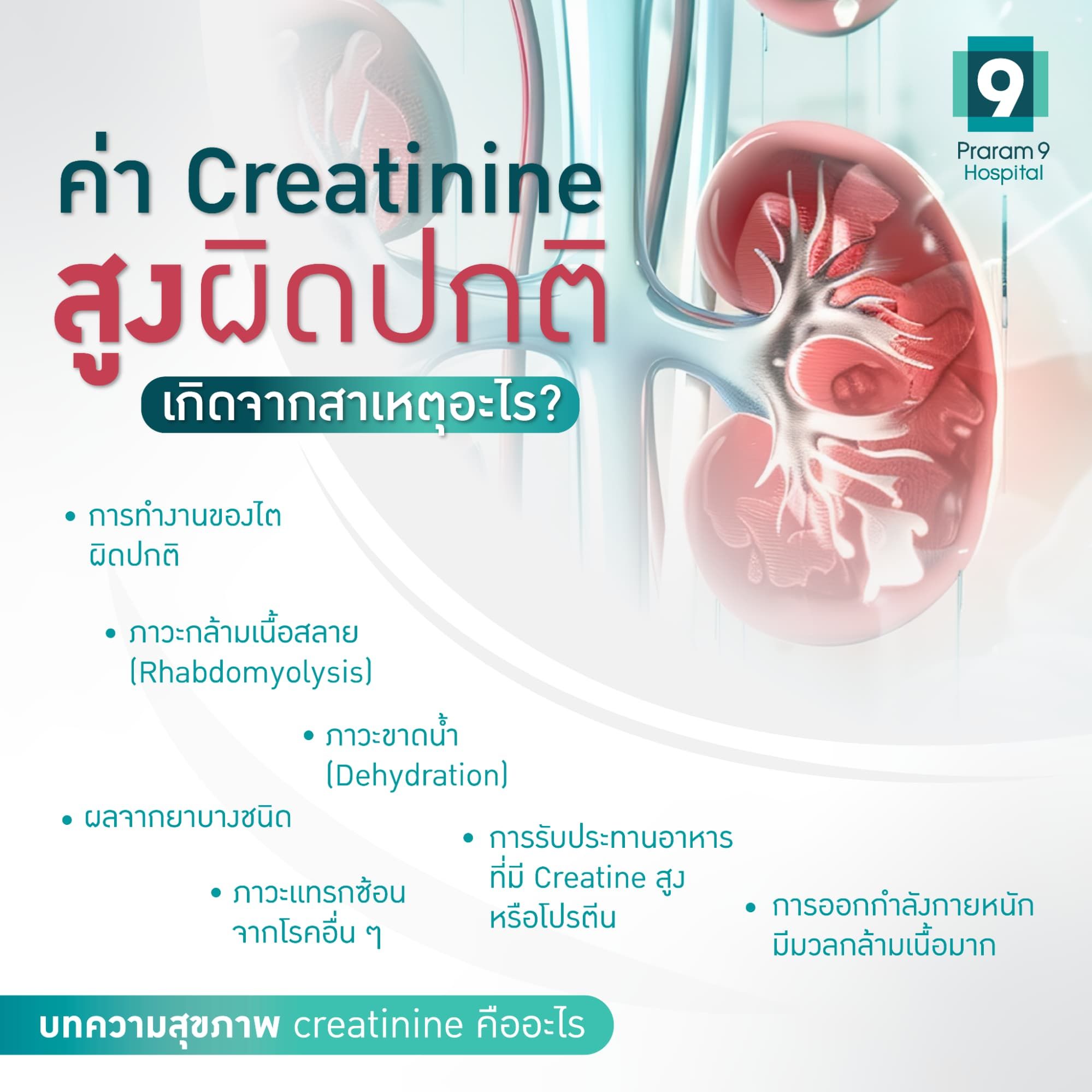 Creatinine สูง เกิดจาก