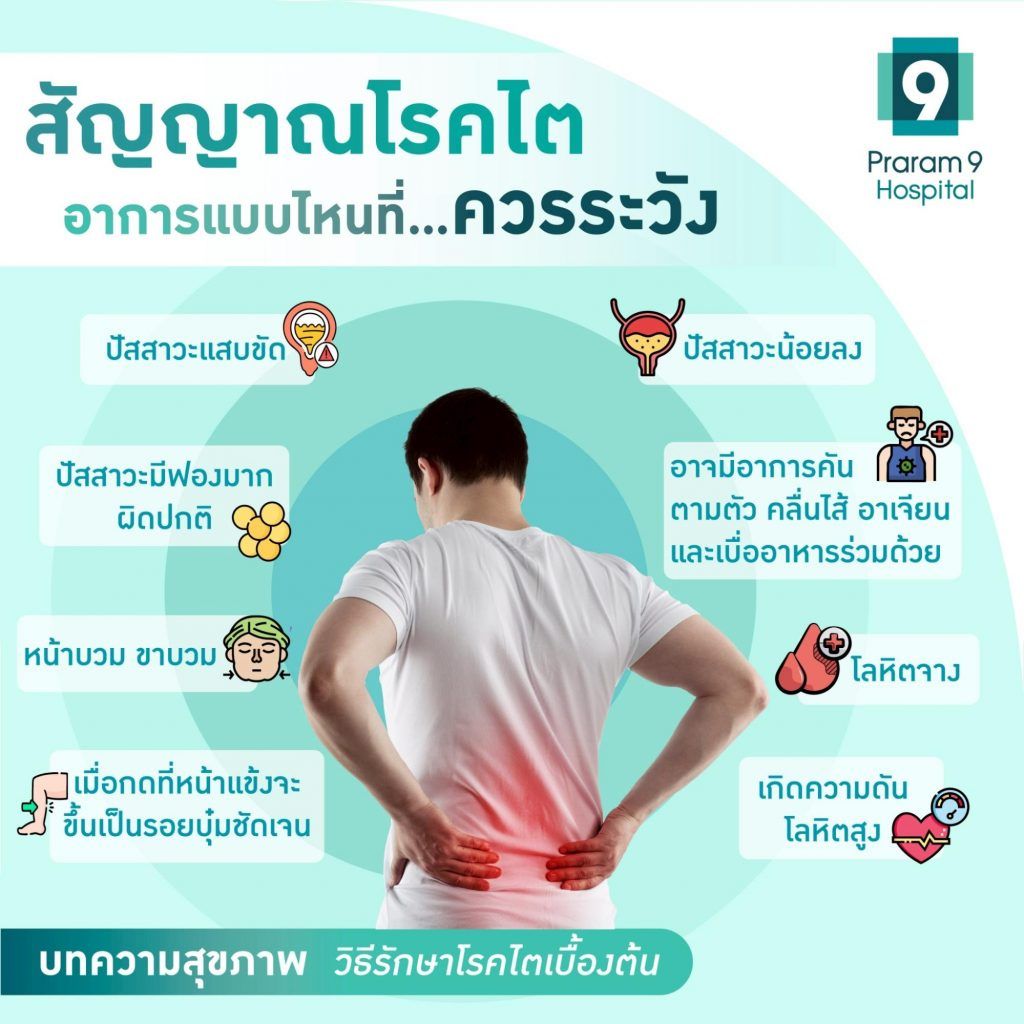 kidney-disease-prevention-1024x1024.jpg