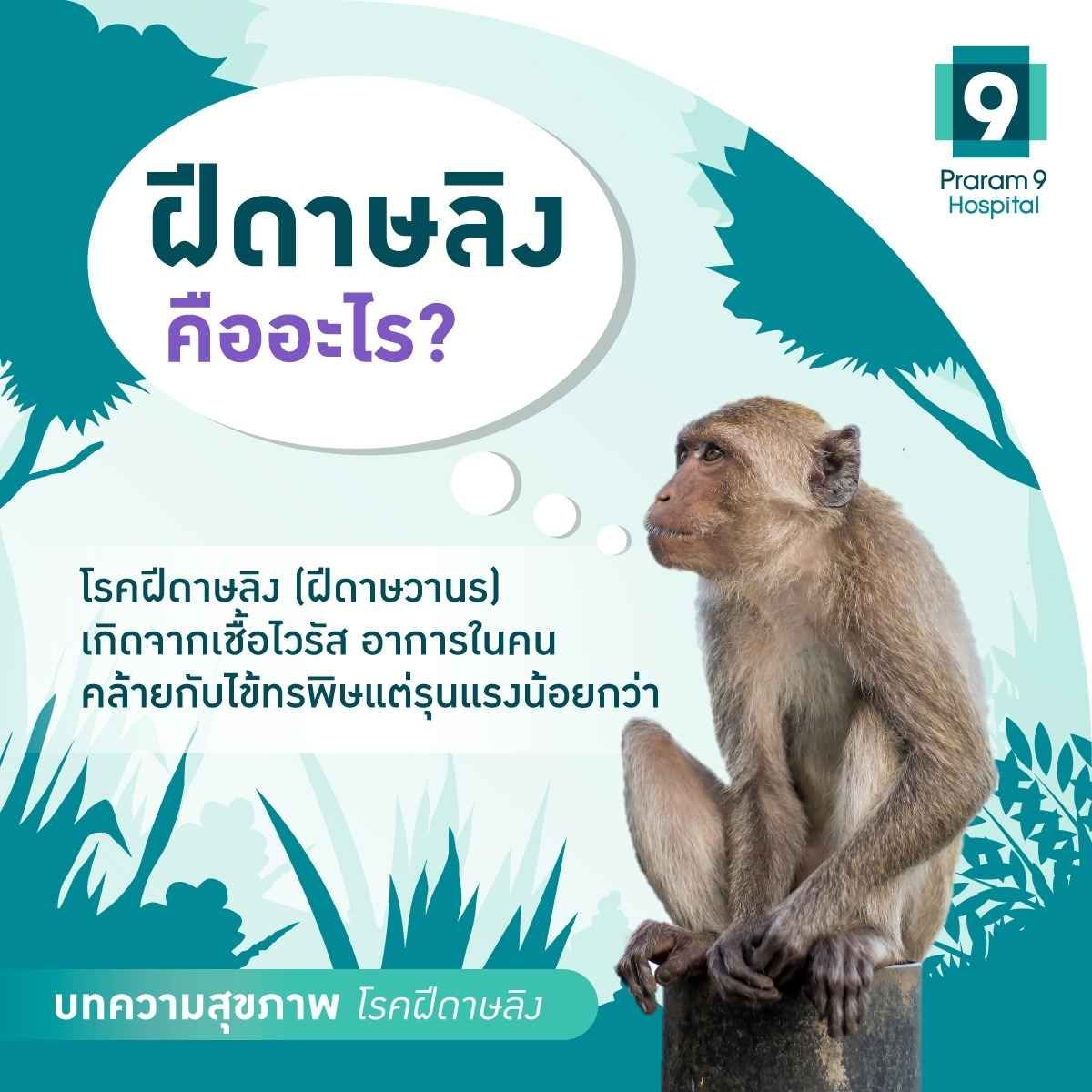 monkeypox-virus-1.jpg