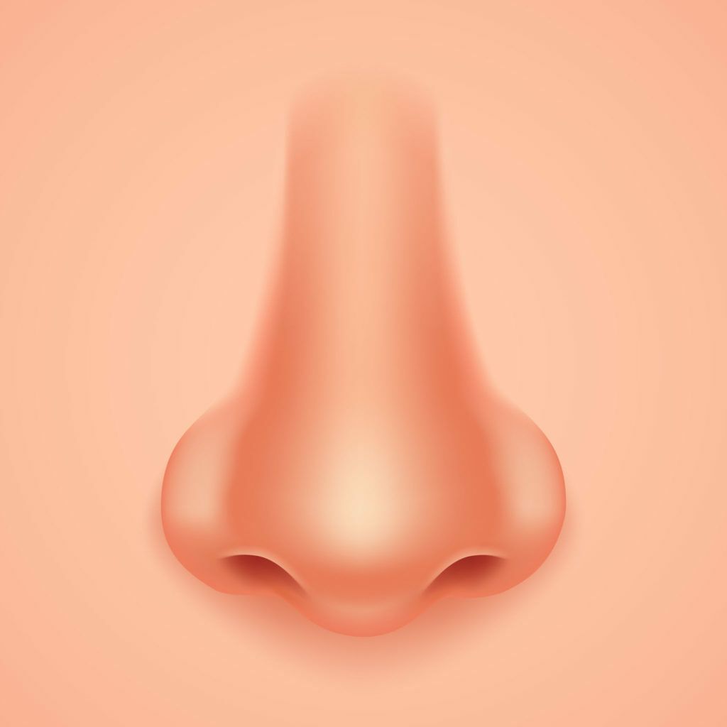 rhinoplasty-2.jpg