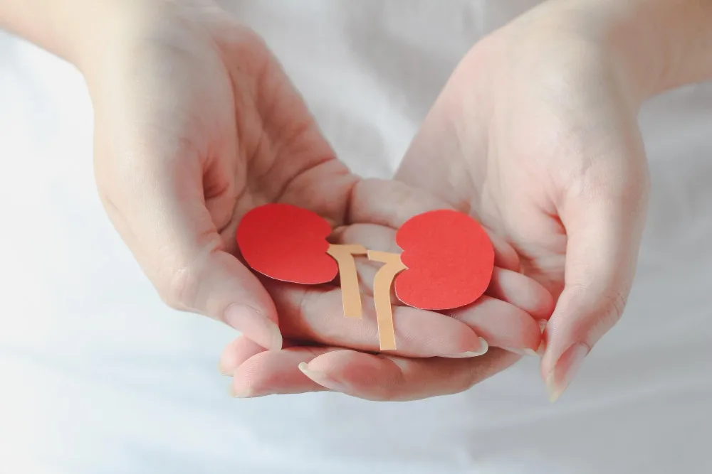 type-of-kidney-dialysis.webp